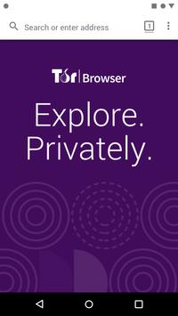 Tor Browser (Alpha) 海报