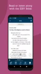 Скачать Truth For Life XAPK