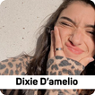 Dixie D'amelio - happy + lyric