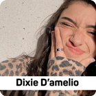 Dixie D'amelio - happy + lyric ícone