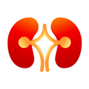 Stone MD — Kidney stones APK