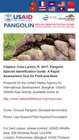 USAID Pangolin Species Identif पोस्टर