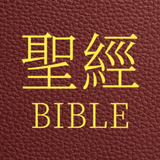 聖經 icône