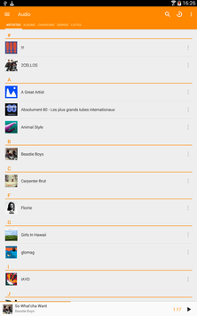 VLC screenshot 11