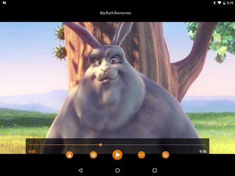 VLC screenshot 15