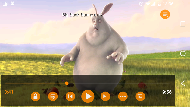 VLC screenshot 1