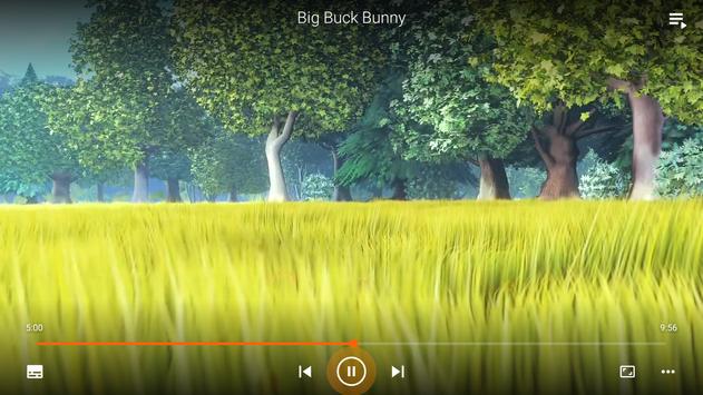 VLC Media Player screenshot 26