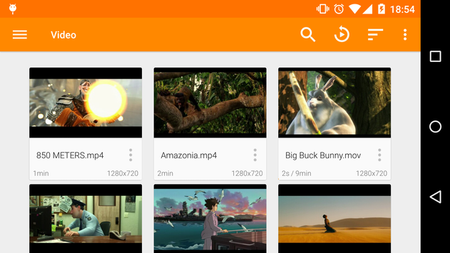 VLC screenshot 2