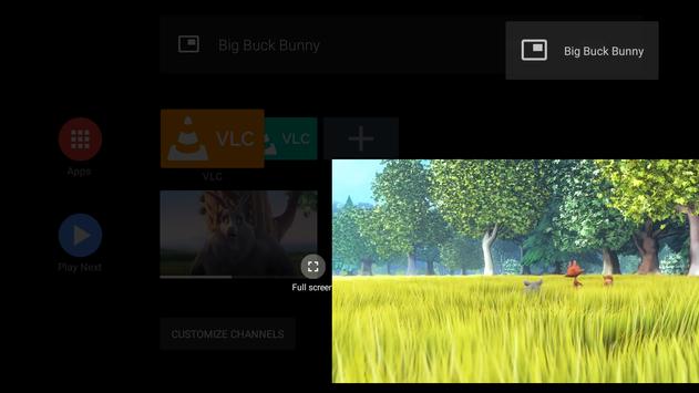 VLC Media Player screenshot 30