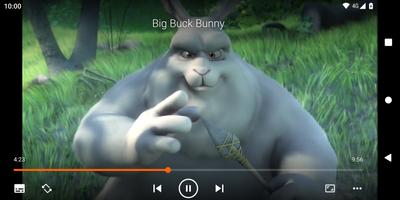 Android TV用VLC for Android スクリーンショット 1