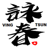 詠春拳良伴 Ving Tsun Kuen Companion APK