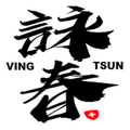 詠春拳良伴 Ving Tsun Kuen Companion