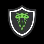VIPER VPN