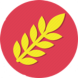 VKS CAPI-Yellow 1.0.3.T6