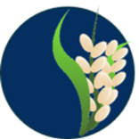 VKS CAPI - Bravo 1.0.0.T13