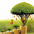 Investing Trading - Guide: Blockchain for Business