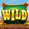 Wild West APK