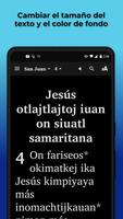 Nahuatl Guerrero Bible скриншот 3