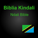 Biblia Kindali na Kiswahili APK
