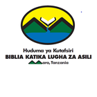 Biblia katika Kikabwa icône