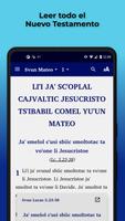 Tzotzil Chenalhó Bible Cartaz