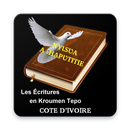 Kroumen Tepo Bible APK