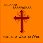 Galata Waaqayyoo icône