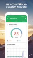 پوستر Walkmeter Pro