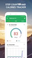 Walkmeter Pro پوسٹر