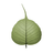 Bodhi Timer APK