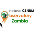 Zambia Collect