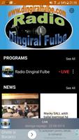 برنامه‌نما Radio Dingiral Fulbe عکس از صفحه