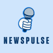 NewsPulse simgesi