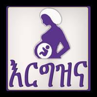 پوستر እርግዝናና ወሊድ Pregnancy Amharic