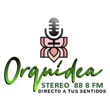 Orquídea Stereo