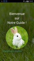 Élevage Lapin bài đăng