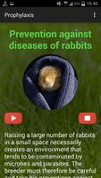 Rabbit breeding screenshot 2