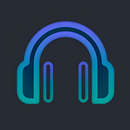 Spotube APK