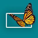 Moving Art APK