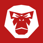 RideLink icon