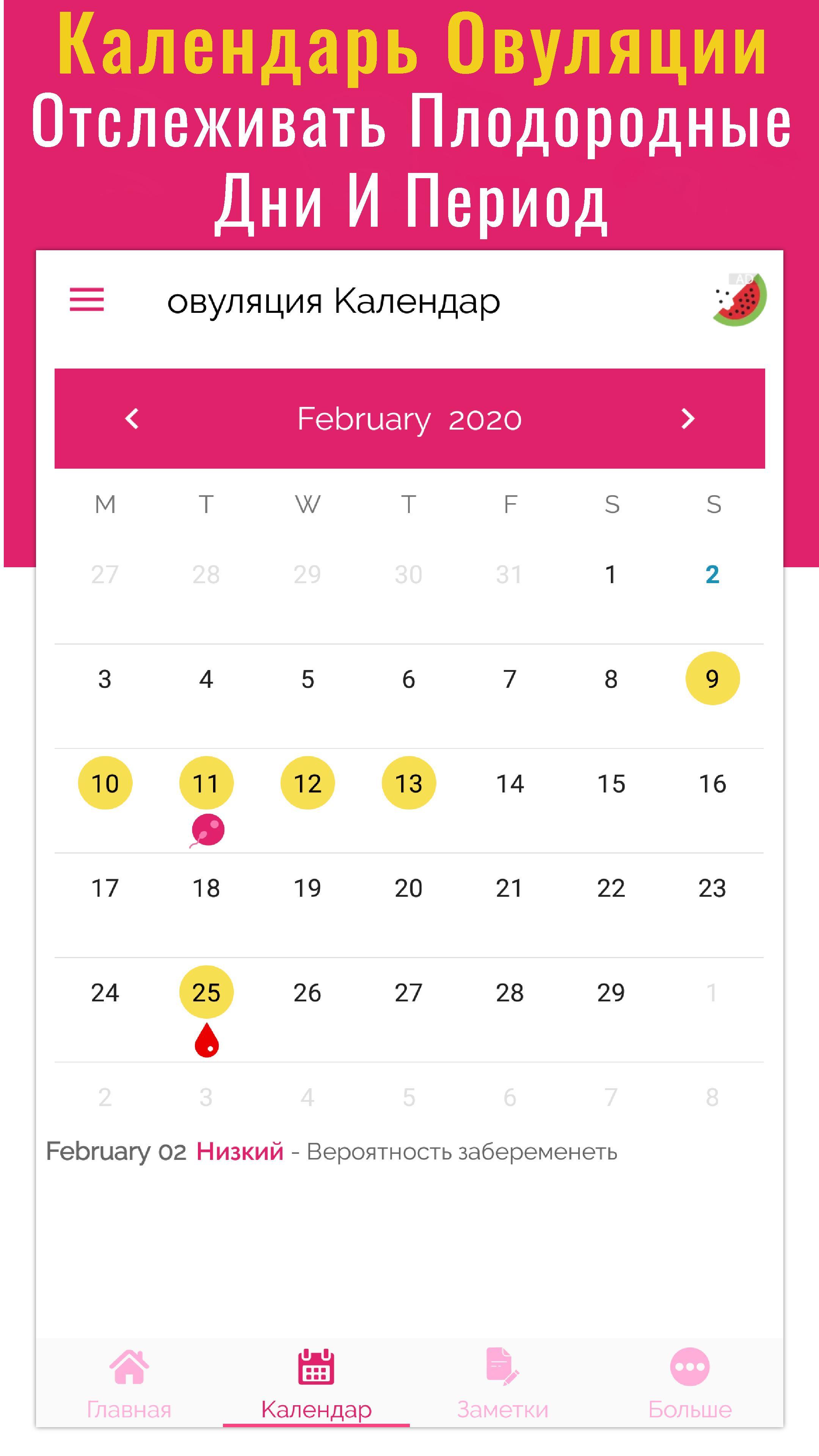 Календарь калькулятор овуляция