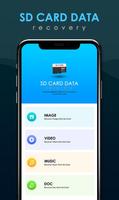 SD Card Recovery постер
