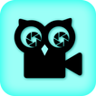 Owl camera