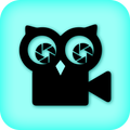 Owl camera