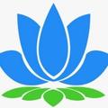 Lotus Papelería