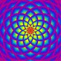 Magic Lotus Journey Visualizer