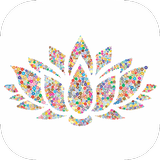 Lotus Yoga and Mindfulness