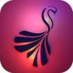 Love bird Live wallpaper