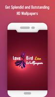 Love bird Live wallpaper bài đăng
