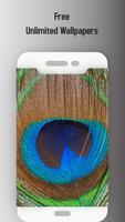 Love bird Live wallpaper ảnh chụp màn hình 1